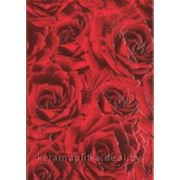 Плитка для стен Декор Роза красный фотография