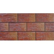 Facade stone tiles Kalahari — CER4 фасадный камень Калахари — CER4 фото