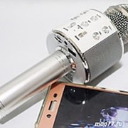 Беспроводной микрофон для караоке WS-858 (Серебро) фото
