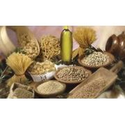 Семена тарговой марки Семена Украины фотография