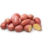 Семена картофеля фотография