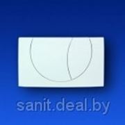 Кнопка Sanit для инсталляции для унитаза S800