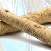 Хрен Horseradish, импортная продукция ОПТОМ