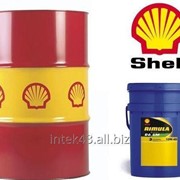 Моторное масло Shell Rimula R6 LM 10W40 бочка 209 л