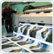 Широкоформатная печать фото