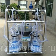 МИНИ-доильный зал фото