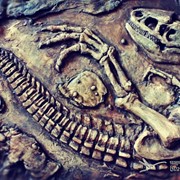 Барельефная картина - The excavation of a dinosaur.Раскопки динозавра фото