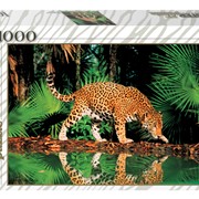 Пазлы 1000 элементов, “Леопард у воды“, (Степ Пазл) фотография