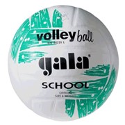 Мяч волейбольный Gala BV5031L School