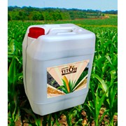 Хелатное удобрение «Титон Кукуруза» - внекорневая подкормка кукурузы