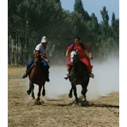 Организация конного туризма фото
