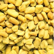 ПАЖИТНИК семена (Индия) фото