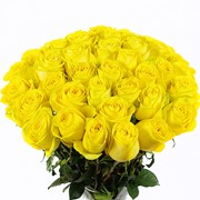 Букет желтых роз, 25 шт. фото