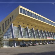 Организация и проведение спортивных соревнований фото