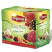 Lipton Forest Fruit Tea фото