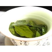 Зеленый чай фото