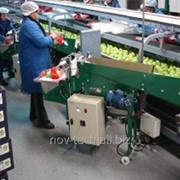 Упаковщик Speed Bager фото