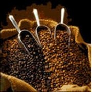 кофе арабика