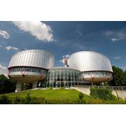 Reprezentarea intereselor in Curtea Europeana a drepturilor Omului фото