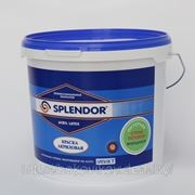 Лаки «SPLENDOR» фотография