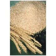 Культуры зерновые зерно фуражное продам оптом в харьковской области фото