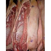 Мясо свинины полутуши глубокой заморозки в п/т.