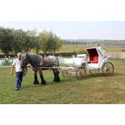 Организация торжеств в Молдове фото