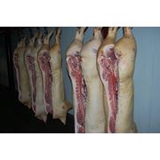 Мясо свинины 1-2 категории фото