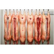 Мясо свинины в полутушах охлажденное и замороженное фото