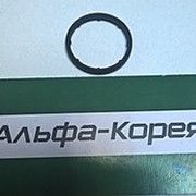 Прокладка теплообменника Cruze F16D4 (кольцо с зубчиками) №11 26x30x4 (RUS)