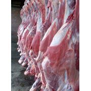Мясо говяжье в полутушах охлажденное фотография