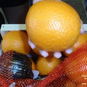 Апельсины LANE LATE (Лайн Лате)