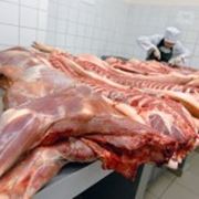 Мясо говяжье полутуши охлажденное фотография