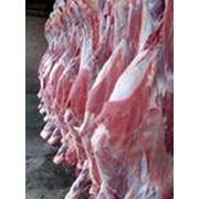 Мясо говядина (бычки 90+) охлажденное фото