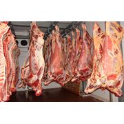 Мясо говяжье полутуши фото