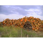 Дрова фруктовых деревьев(слива) пиленные 30-40см фото