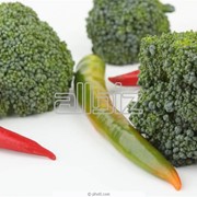 Семена сортовые овощей