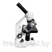 Микроскоп Celestron биологический улучшенный - 1000х фотография