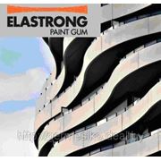 Краска для фасадных работ Elastrong Paint Gum фото