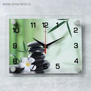 Часы настенные, серия: Цветы, “Цветок“, 20х26 см микс фото