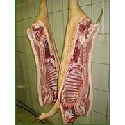 Мясо вьетнамской вислобрюхой свиньи
