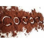 Какао - порошок