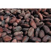 Какао – порошок Polvo de Cacao