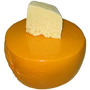 Сыр сычужный фото