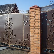 Металлические ворота и калитки в Кривом Роге фото