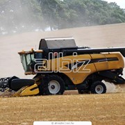 Аренда, прокат комбайнов Уборка подсолнечника кукурузы зерновых вся Украина фото