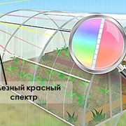 Сотовый поликарбонат от 3 до 10мм Прозрачный и цветной на складе. Для Теплиц, Беседок, Навесов. Доставка по всей области. Арт-№ 1555-02-14 фотография