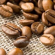 Кофе Арабика фото