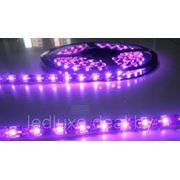 Влагозащищенная светодиодная лента 3528 пурпурного свечения, IP65 (60 диодов на метр) фото