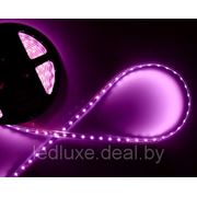 Открытая светодиодная лента пурпурного свечения 3528, IP33 (120 диодов на метр)